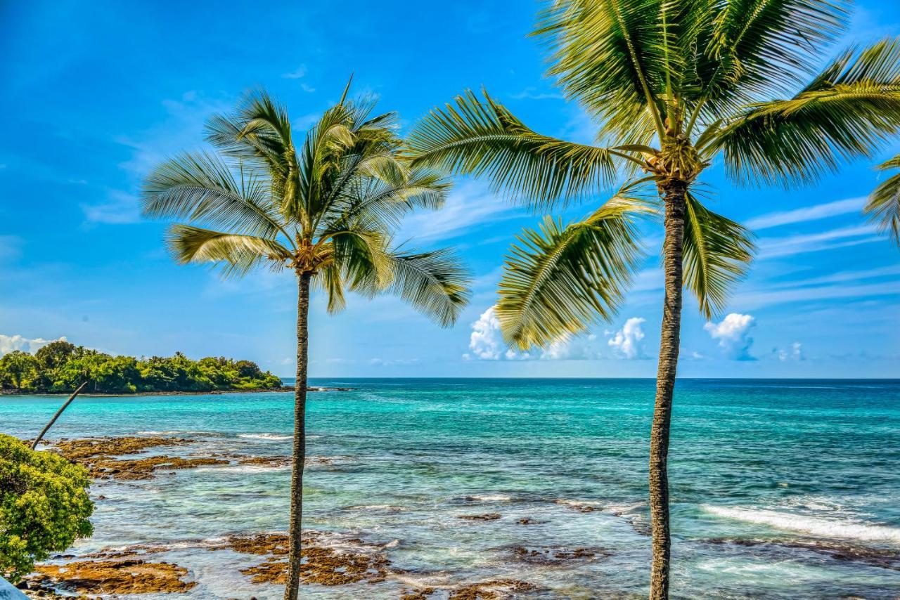 Apartament Kona Bali Kai #341 Kailua-Kona Zewnętrze zdjęcie